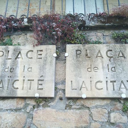 Au Pied Du Chateau - 5 A 11 Personnes - Baignade-Canoe-Piste Cyclable A 100 M Castelnaud-la-Chapelle Eksteriør bilde