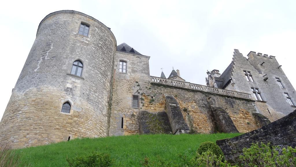 Au Pied Du Chateau - 5 A 11 Personnes - Baignade-Canoe-Piste Cyclable A 100 M Castelnaud-la-Chapelle Rom bilde