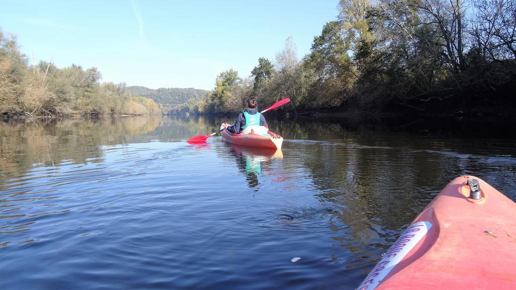 Au Pied Du Chateau - 5 A 11 Personnes - Baignade-Canoe-Piste Cyclable A 100 M Castelnaud-la-Chapelle Eksteriør bilde