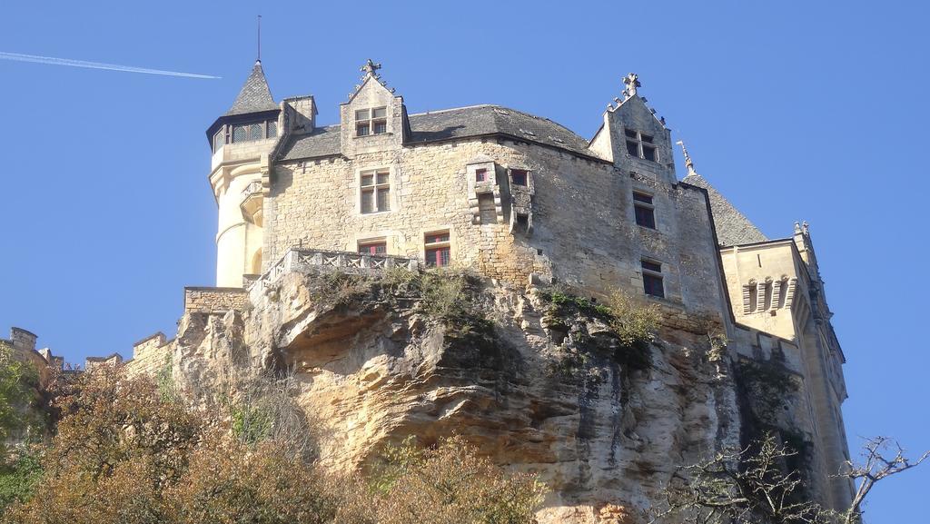 Au Pied Du Chateau - 5 A 11 Personnes - Baignade-Canoe-Piste Cyclable A 100 M Castelnaud-la-Chapelle Eksteriør bilde