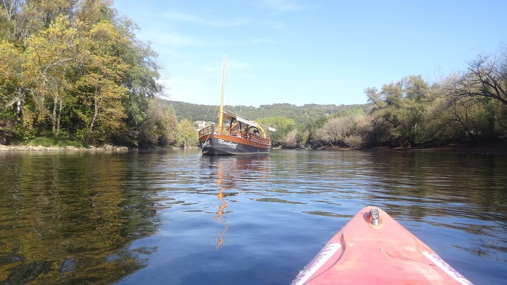 Au Pied Du Chateau - 5 A 11 Personnes - Baignade-Canoe-Piste Cyclable A 100 M Castelnaud-la-Chapelle Eksteriør bilde