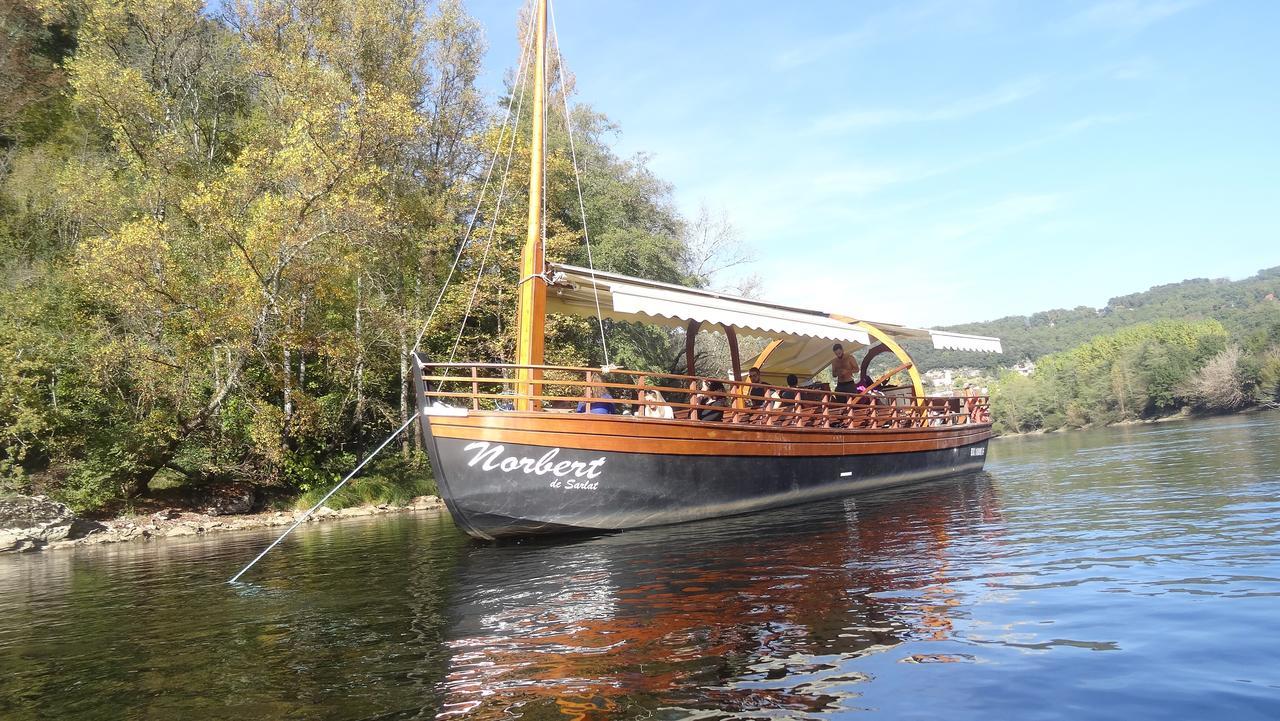 Au Pied Du Chateau - 5 A 11 Personnes - Baignade-Canoe-Piste Cyclable A 100 M Castelnaud-la-Chapelle Eksteriør bilde